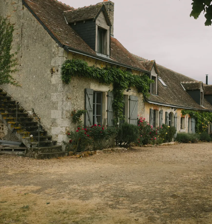 Stone farmhouse with grey shutters, its façade covered in Virginia creeper