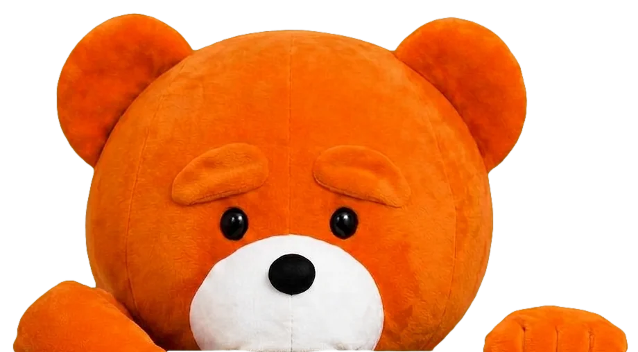 Ours easyVirtual.tours, la mascotte, qui regarde par-dessus le formulaire