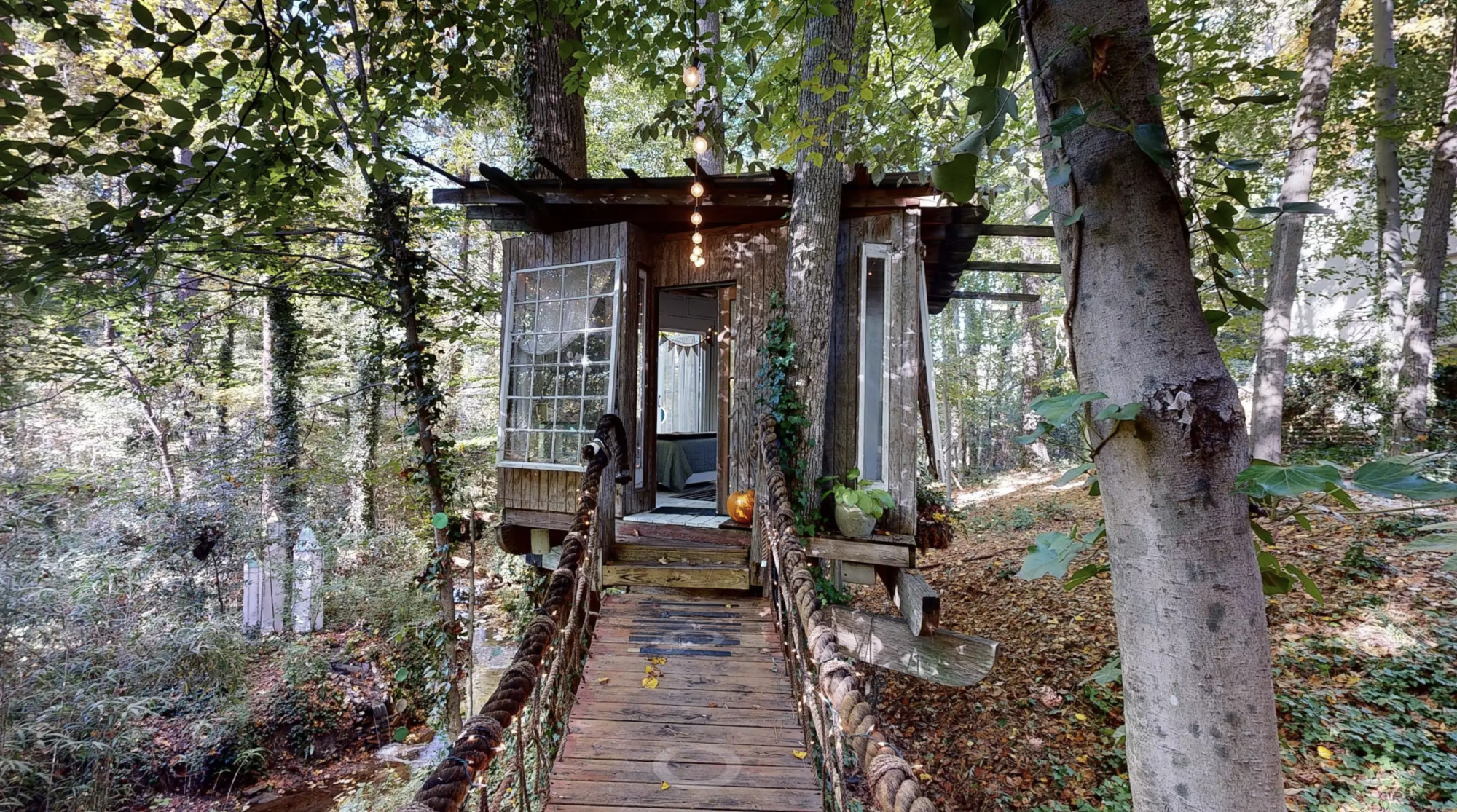 airbnb dans les arbres