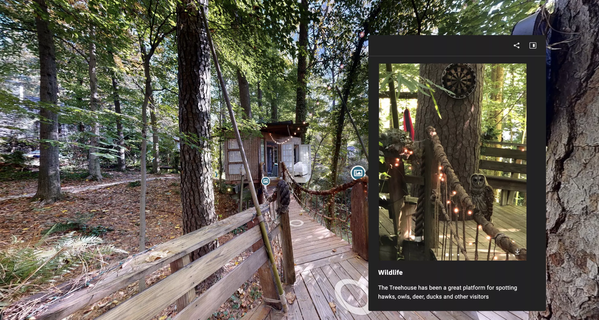 airbnb dans les arbres