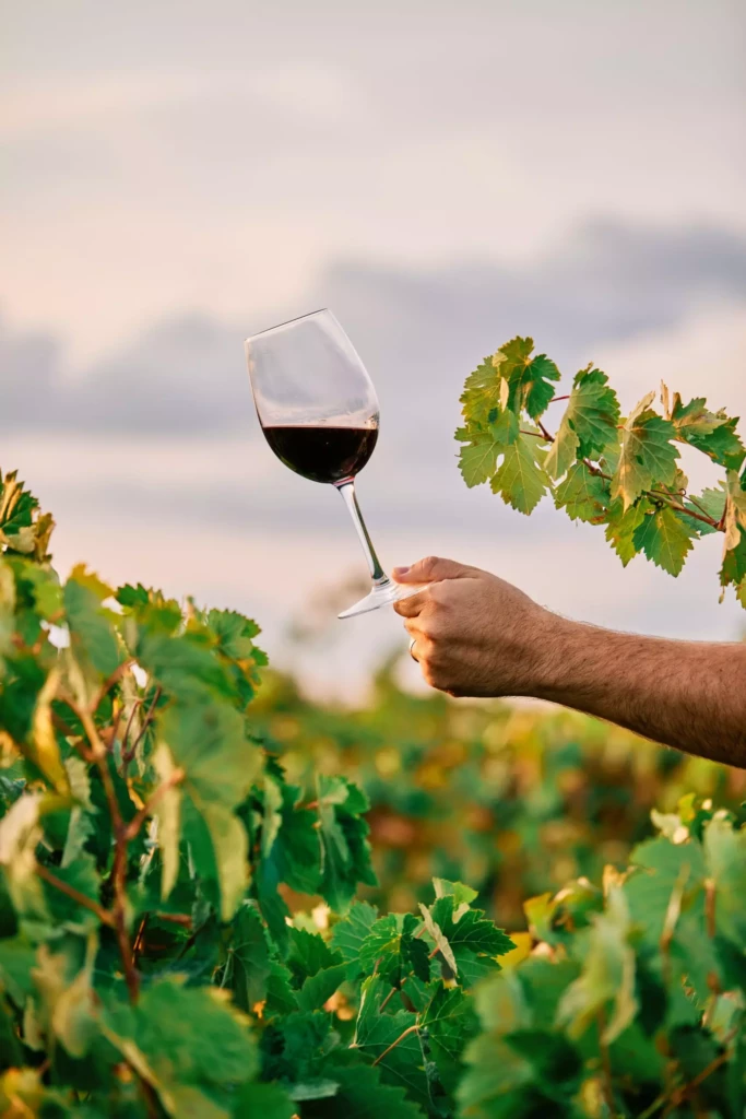vertical-shot-person-holding-glass-wine-vineyard-sunlight-min-scaled.jpg