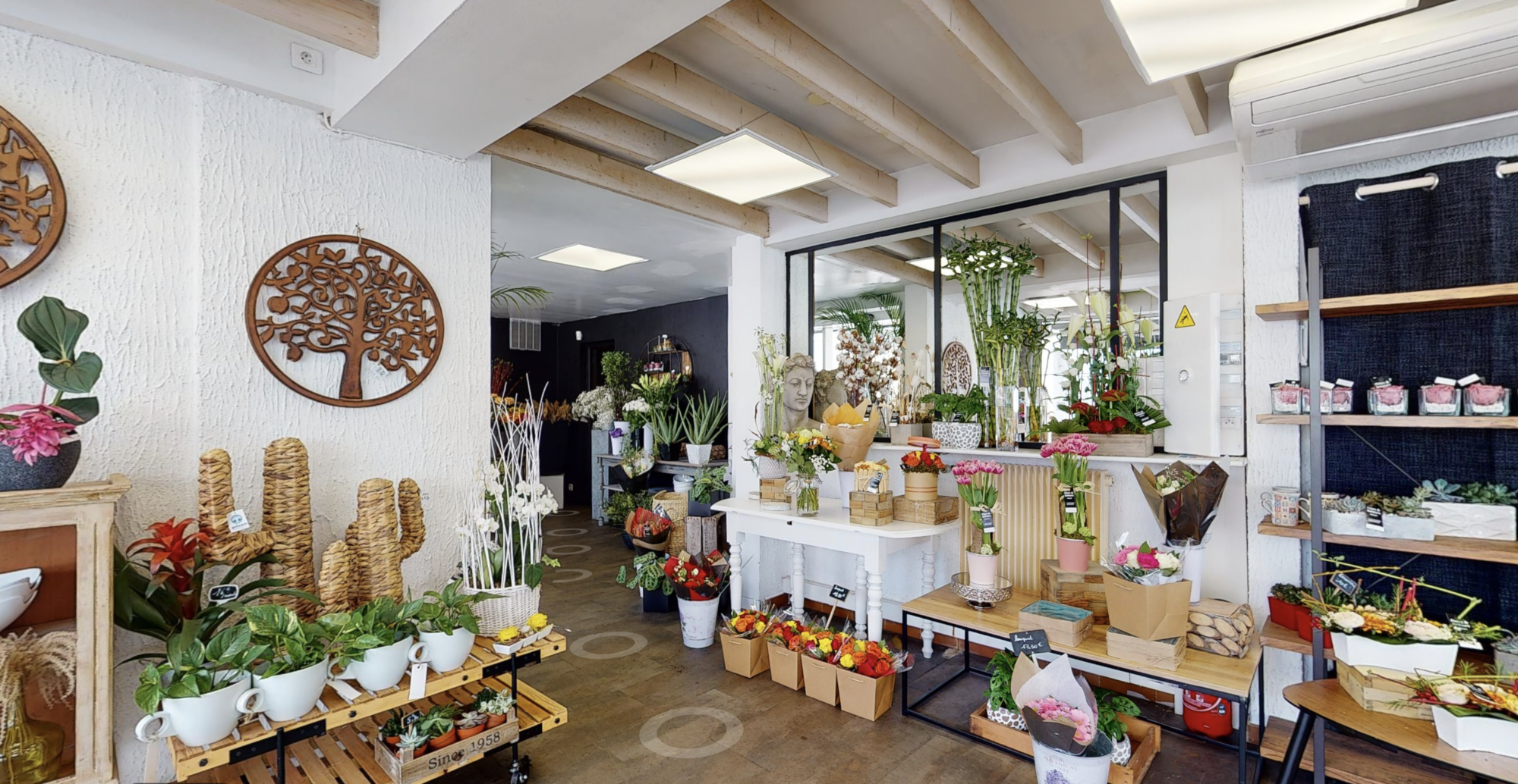 Screenshot 2025-12-24 to 11.52.00