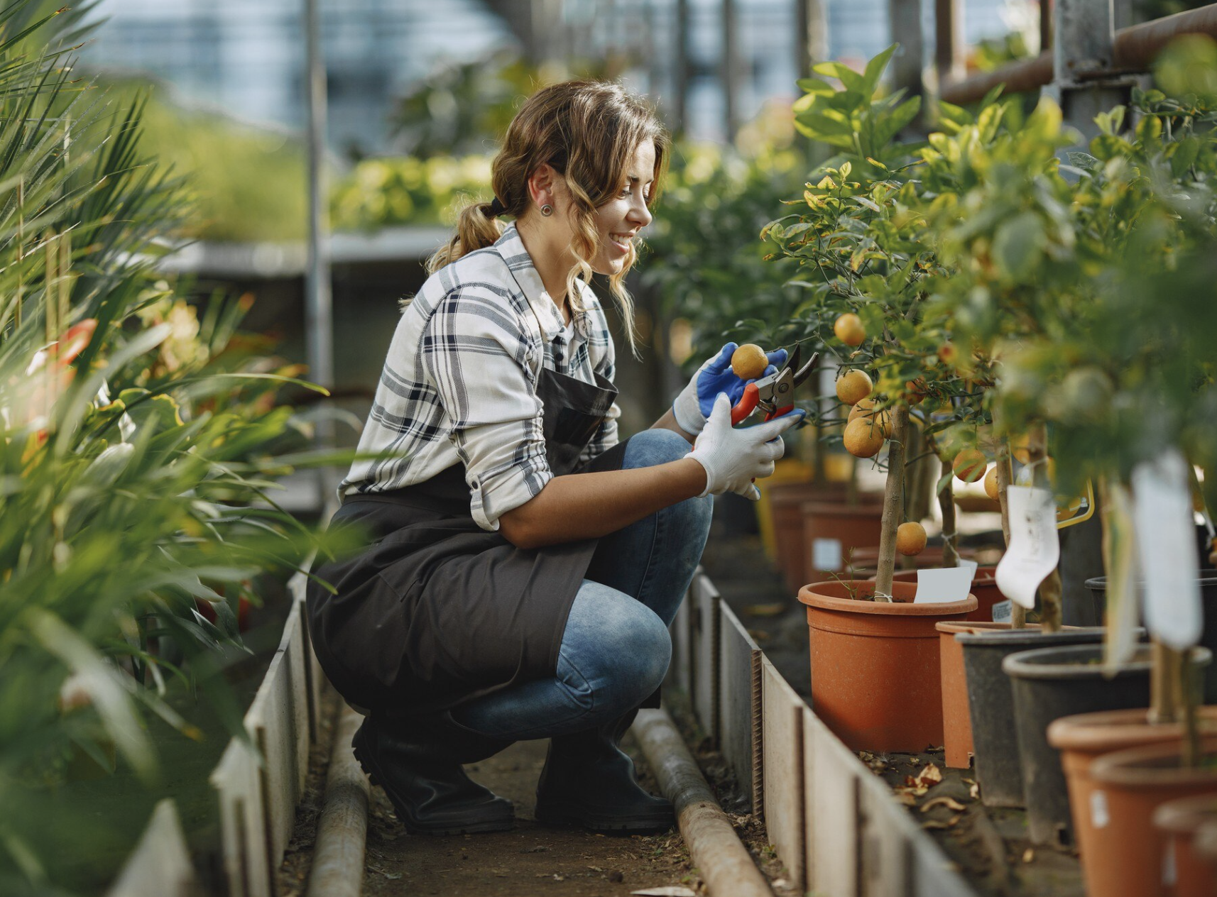 Screenshot 2025-12-24 to 11.58.12