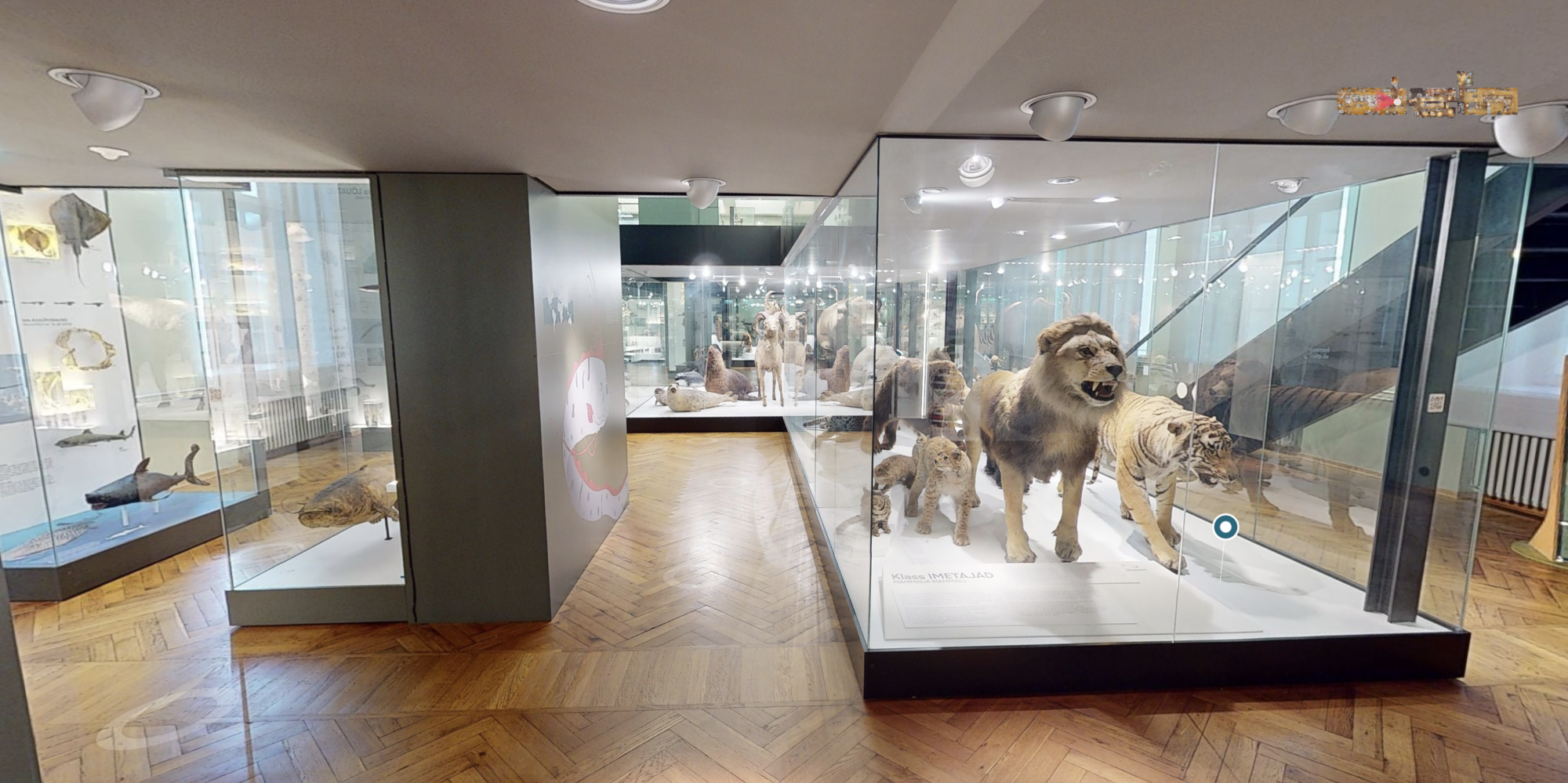 virtual tour museum nature
