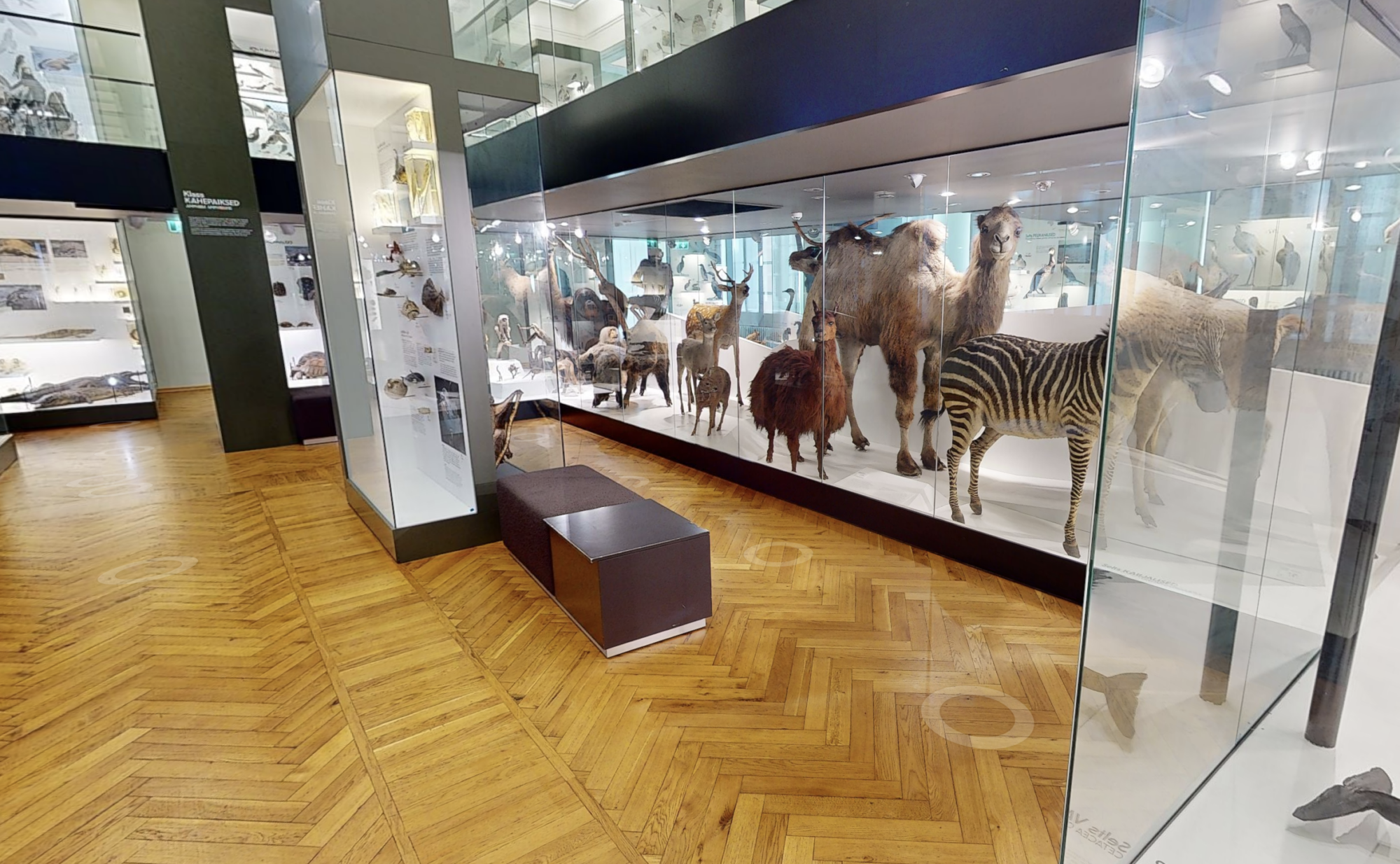 virtual tour museum nature