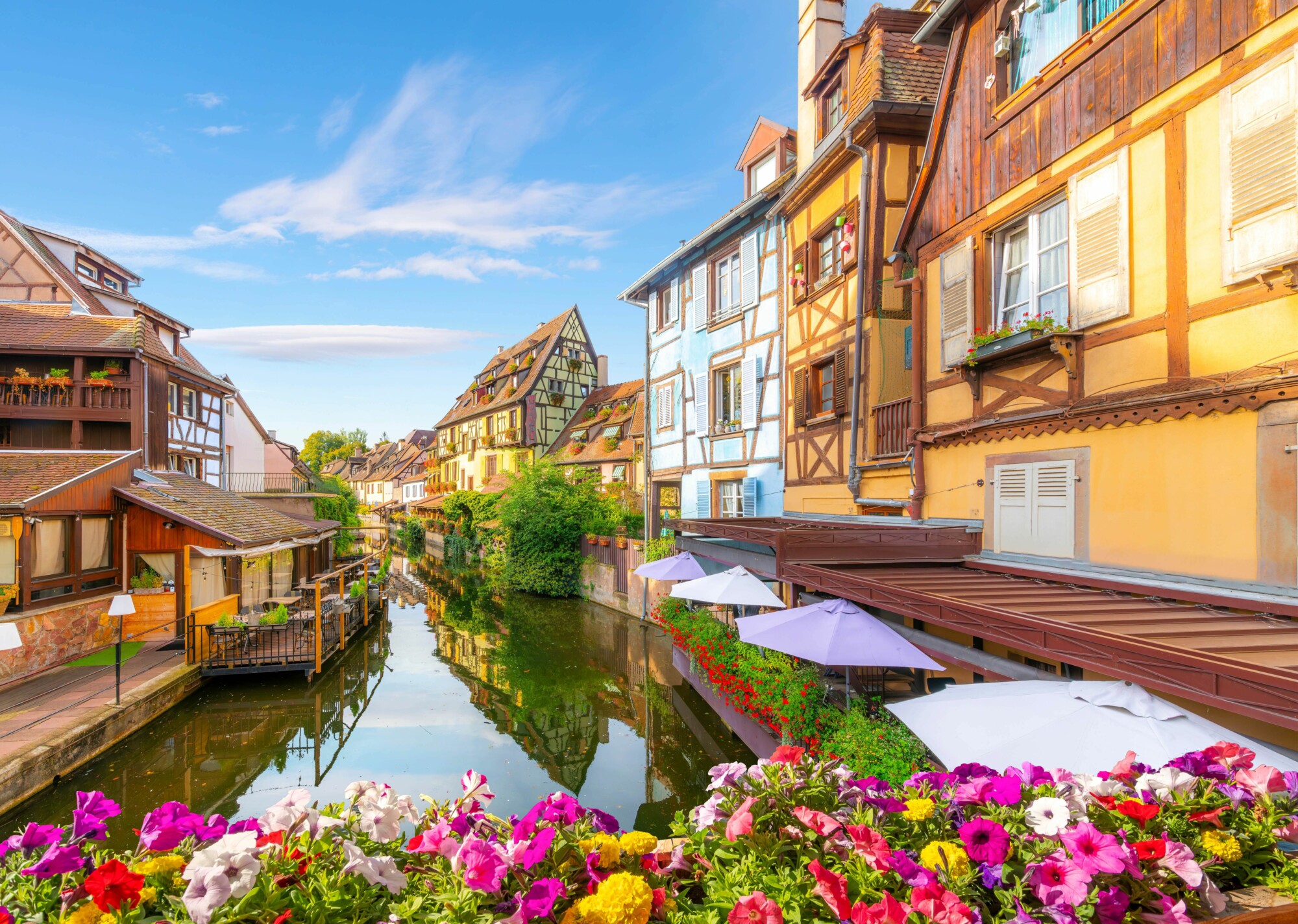 colmar photo