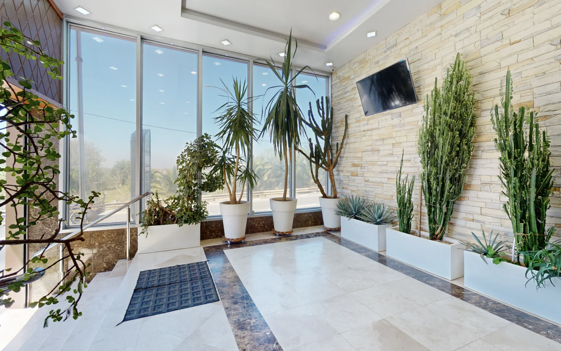 Capture d’écran 2026-02-24 à 12.23.33