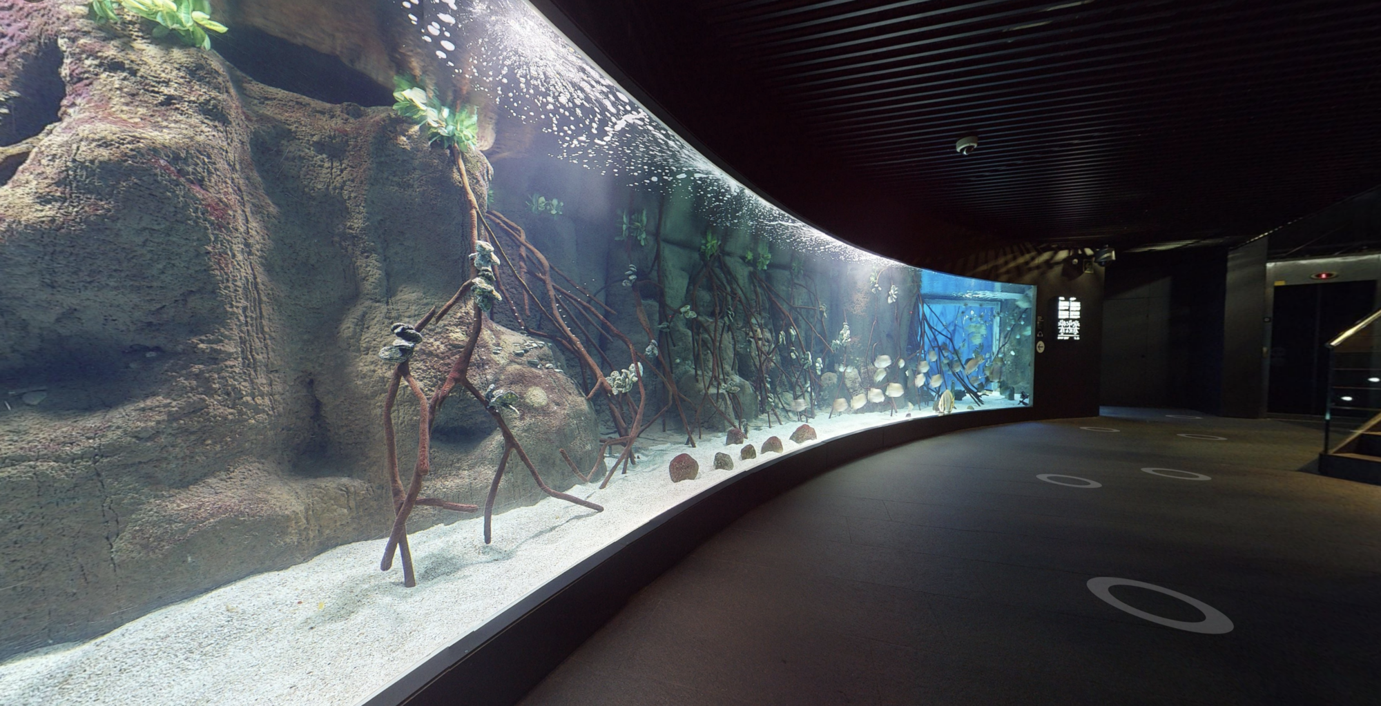Visite virtuelle aquarium