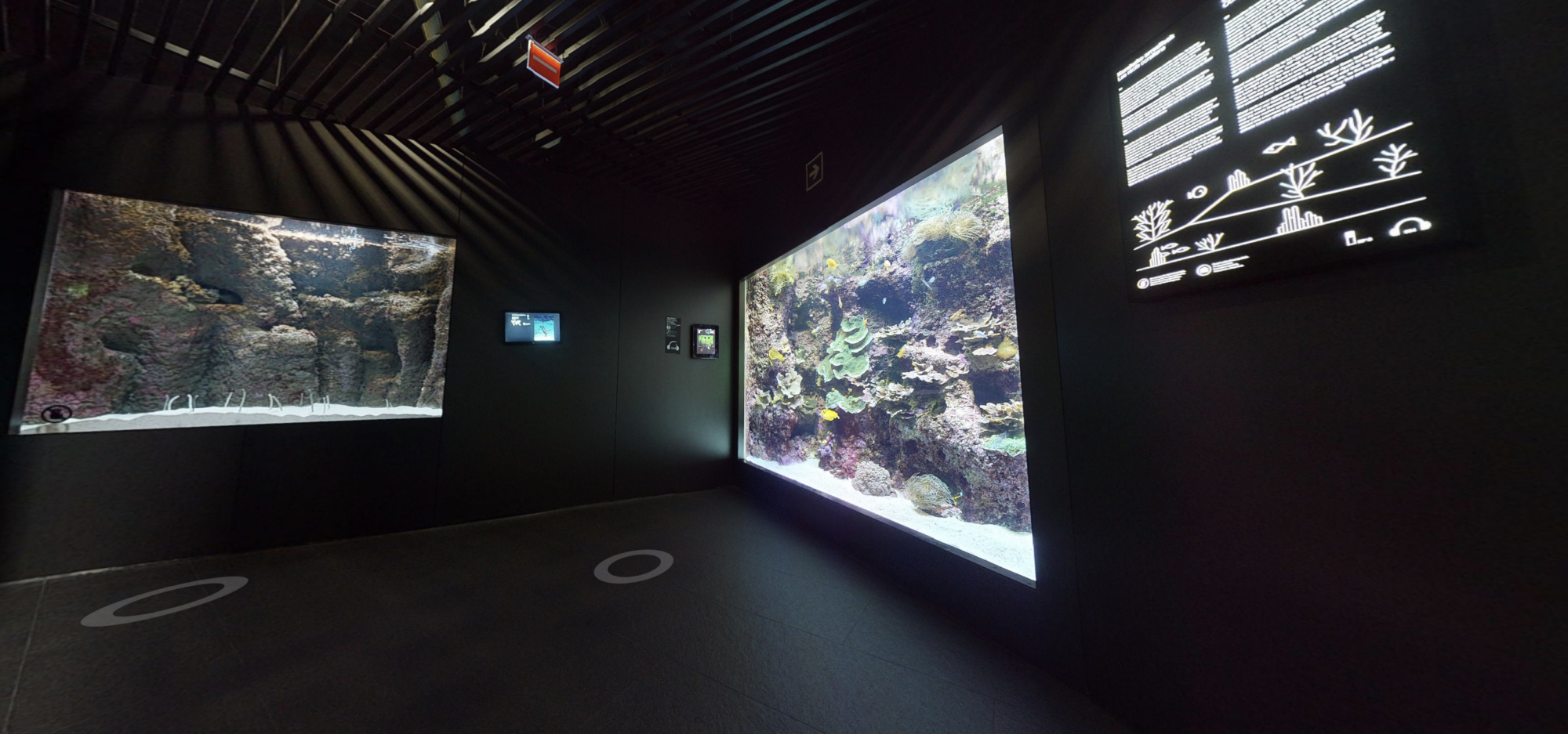 Visite virtuelle aquarium