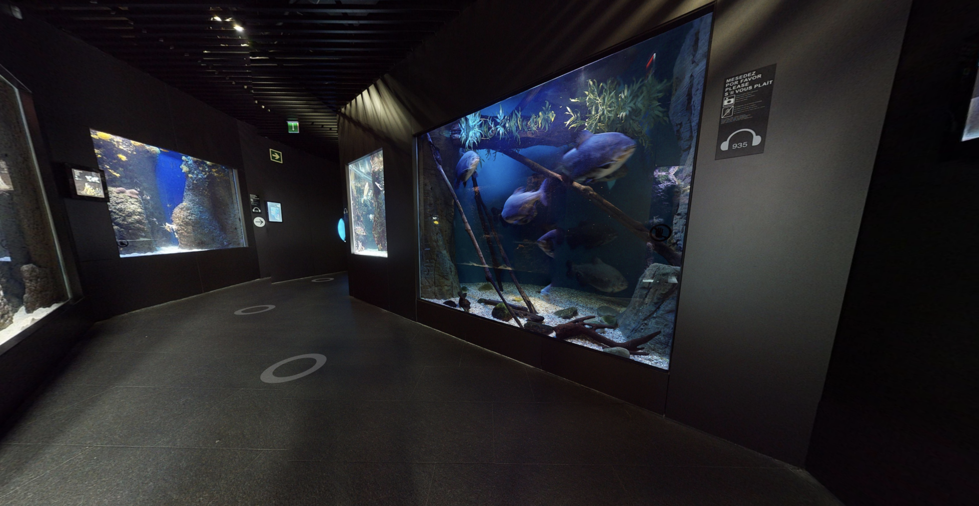 Visite virtuelle aquarium