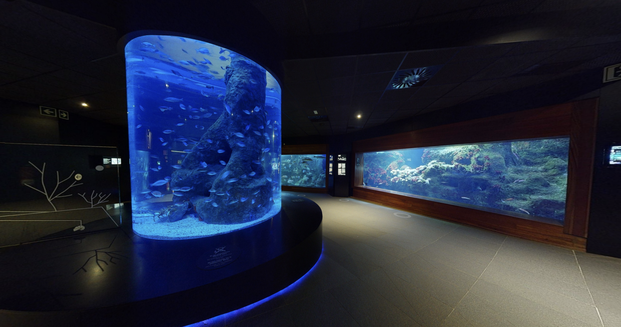 Visite virtuelle aquarium